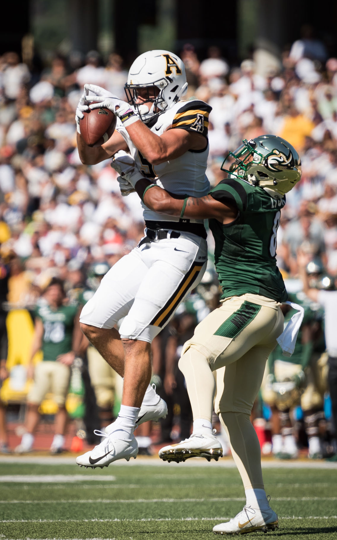 Appalachian State UNC Charlotte Football